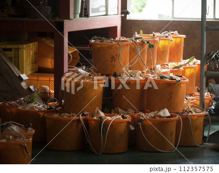 下津のびわ 112357575