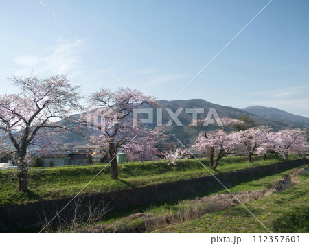 遠野の桜 遠野の桜 112357601