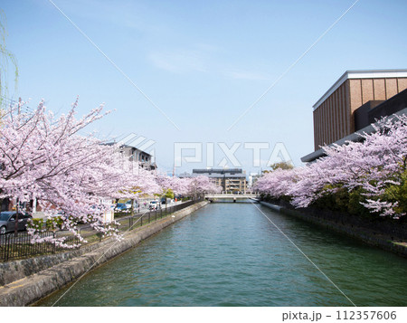 桜と岡崎疎水 桜と岡崎疎水 112357606