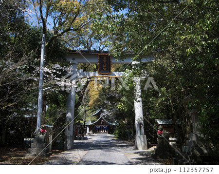 春の若宮八幡神社　鳥居 112357757