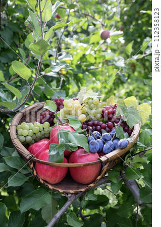 果物狩りイメージ 112358123