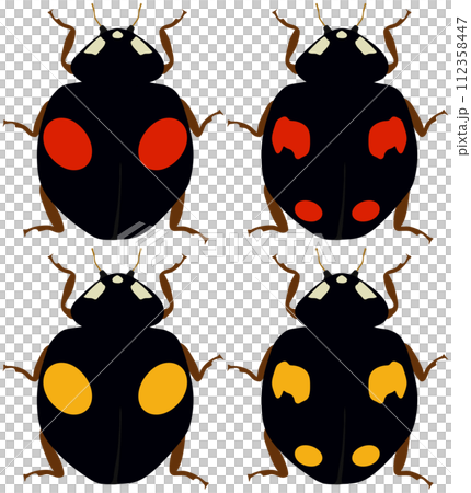 四種益蟲「奈米瓢蟲」 二紋型 二黑底紅紋 黑底二黃紋 四紋 黑底紅紋 四黑底黃紋 112358447