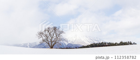 「岩手県」真冬の一本桜と岩手山 「岩手県」真冬の一本桜と岩手山 112358782