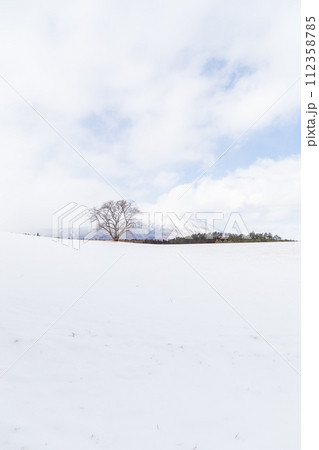 「岩手県」真冬の一本桜と岩手山 「岩手県」真冬の一本桜と岩手山 112358785