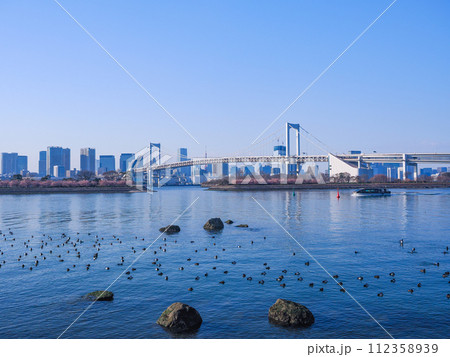 (東京都)お台場海浜公園・水鳥の群れとレインボーブリッジ (東京都)お台場海浜公園・水鳥の群れとレインボーブリッジ 112358939