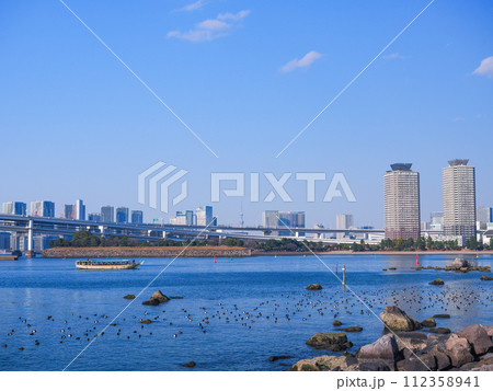 （東京都）お台場海浜公園・水鳥の群れとレインボーブリッジ 112358941