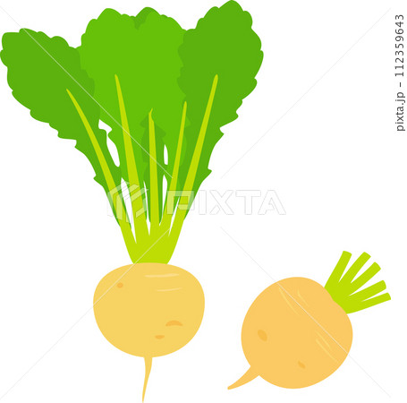 葉付きの黄金かぶ 112359643