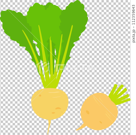 葉付きの黄金かぶ 112359643