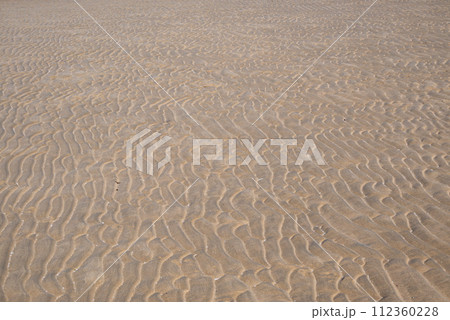 砂浜に残った波紋 砂浜に残った波紋 112360228