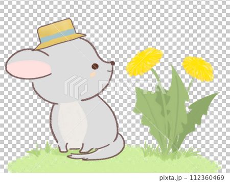 Illustration of a chinchilla and dandelion wearing a straw hat Illustration of a chinchilla and dandelion wearing a straw hat 112360469
