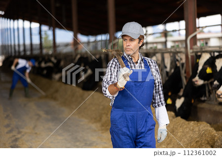 Farmer man stands with rake at cow farm Farmer man stands with rake at cow farm 112361002