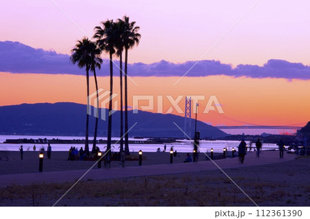 須磨海岸の「願いの椰子の木」と夕暮れ染まりゆく明石海峡と淡路島/日本の渚百選 須磨海岸の「願いの椰子の木」と夕暮れ染まりゆく明石海峡と淡路島/日本の渚百選 112361390