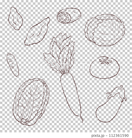 野菜イラスト素材セット　線画 112361590