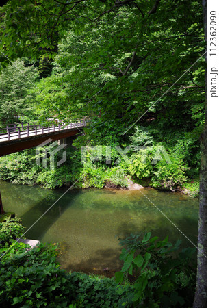 巴ヶ淵 巴ヶ淵 112362090