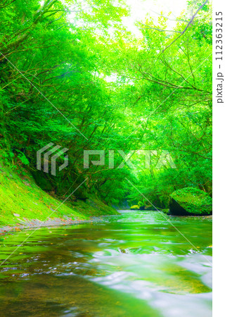 新緑が美しい 新緑が美しい 112363215