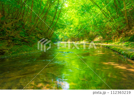 新緑が美しい 新緑が美しい 112363219