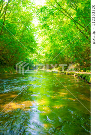 新緑が美しい 112363220
