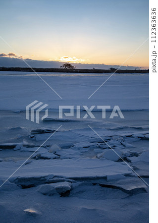 本別海のわしの木 112363636