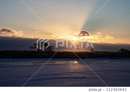 本別海のわしの木 112363642