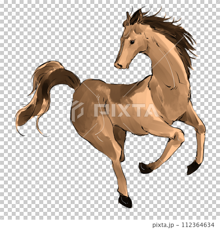左馬のイラスト 左馬のイラスト 112364634