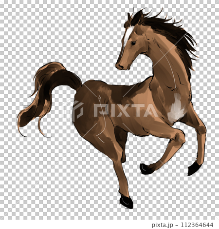 Running horses Running horses 112364644