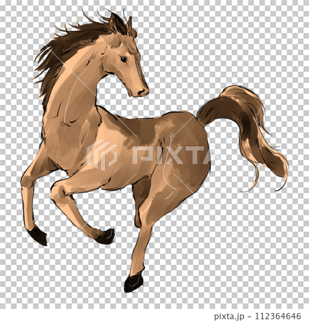 走る馬のイラスト 112364646