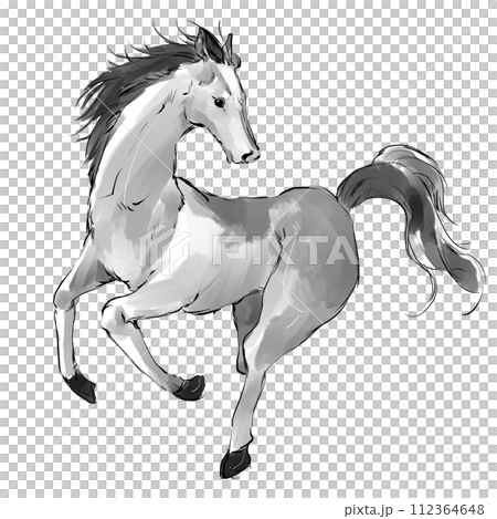 Illustration of a running white horse Illustration of a running white horse 112364648