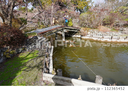 公園の池 公園の池 112365452