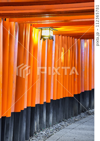 京都　伏見稲荷大社　千本鳥居 112365781