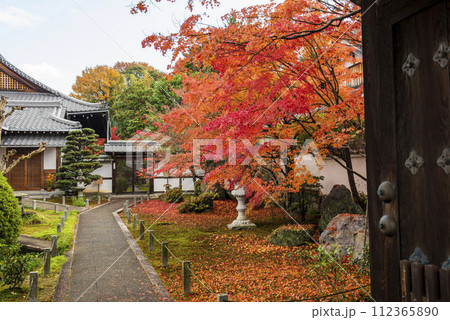 門を開けると真っ赤な紅葉 門を開けると真っ赤な紅葉 112365890