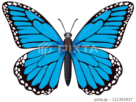 Vibrant Blue Butterfly Illustration 112365937