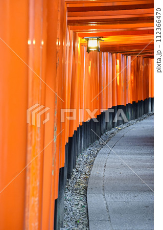 京都　伏見稲荷大社　千本鳥居 112366470