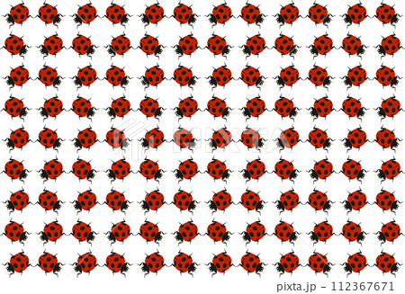 益虫の「ナナホシテントウムシ」背景画像  下向き  斜め 112367671