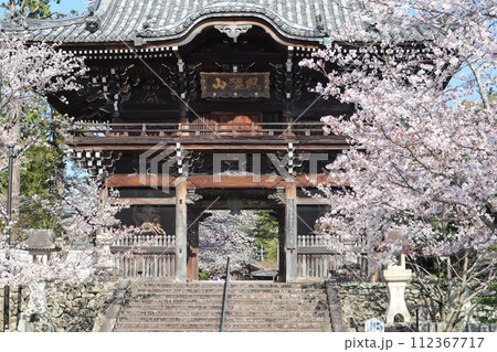 粉河寺 中門の桜 粉河寺 中門の桜 112367717