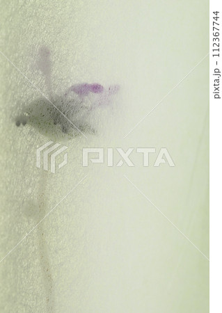 和紙と山野草・ホトケノザのコラボ（背景素材） 112367744