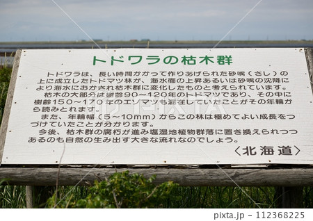 北海道東部に位置する野付半島の初夏 112368225
