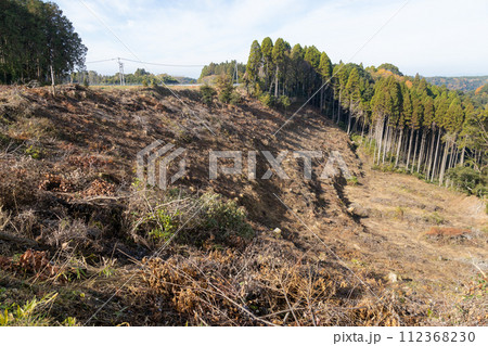 木が伐採された山肌 杉が切り倒された後の風景 木が伐採された山肌 杉が切り倒された後の風景 112368230