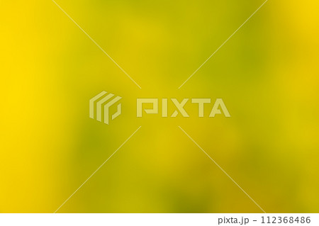 背景素材 グラデーション 黄色 イエロー 背景素材 グラデーション 黄色 イエロー 112368486