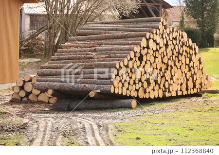 A pile of logs is stacked in a yard 112368840