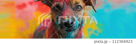 A pet dog revels in the Holi festivities, covered in non-toxic colors, highlighting the inclusive joy of the festival 112368923