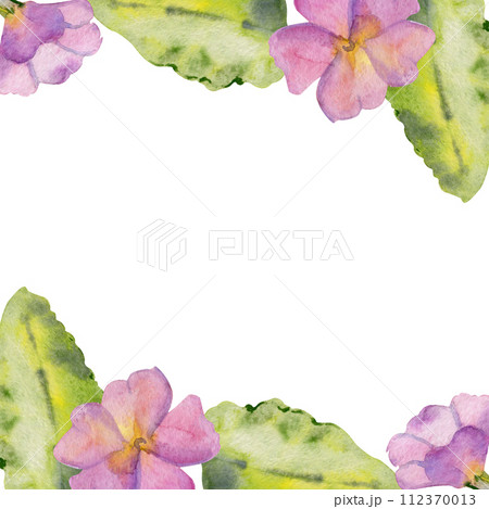 Hand drawn watercolor illustration spring gardening flower bed, leaves buds nature blossom. Square frame isolated white background. Design print, shop, scrapbooking, packaging, decoupage, invitation 112370013