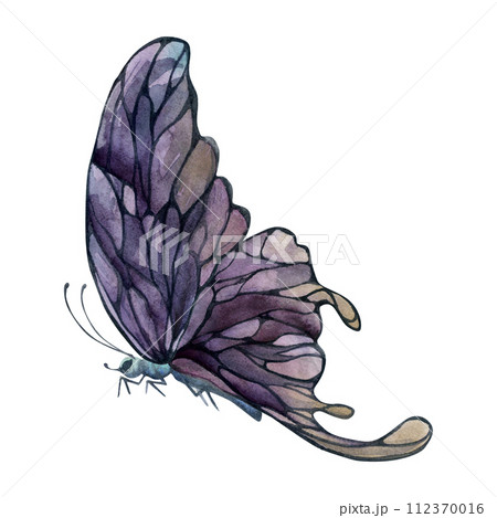 Hand drawn watercolor illustration butterfly fairy wings gem crystal insect moth. Amethyst charoite fluorite ametrine. Single object isolated on white background. Design print, shop, wedding, birthday 112370016