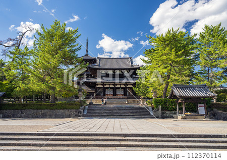奈良 法隆寺 中門の夏景色 112370114