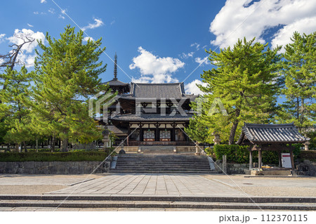 奈良 法隆寺 中門の夏景色 112370115