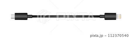 横向きの変換ケーブル_USB Type-C_オス_Lightning_オス 112370540