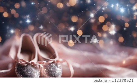 バレエシューズ トゥシューズ バレエシューズ トゥシューズ 112370921