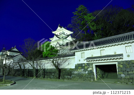 【岐阜県】大垣城の夜景 112371215