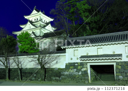 【岐阜県】大垣城の夜景 112371218