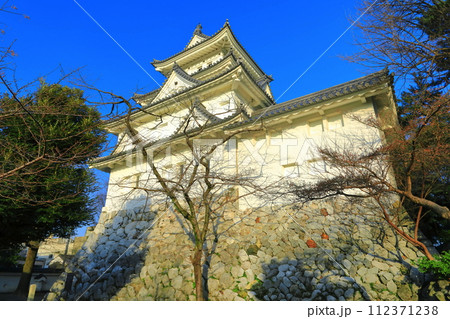 【岐阜県】晴天の大垣城 【岐阜県】晴天の大垣城 112371238