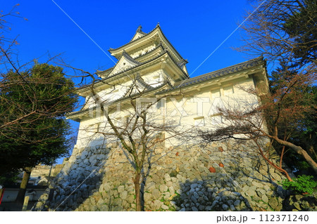 【岐阜県】晴天の大垣城 112371240